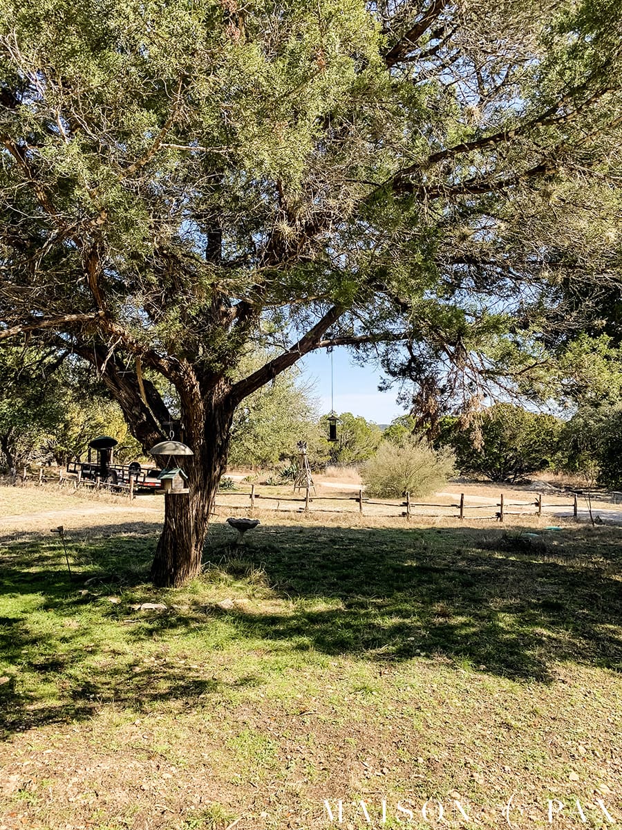 texas hill country beauty | Maison de Pax