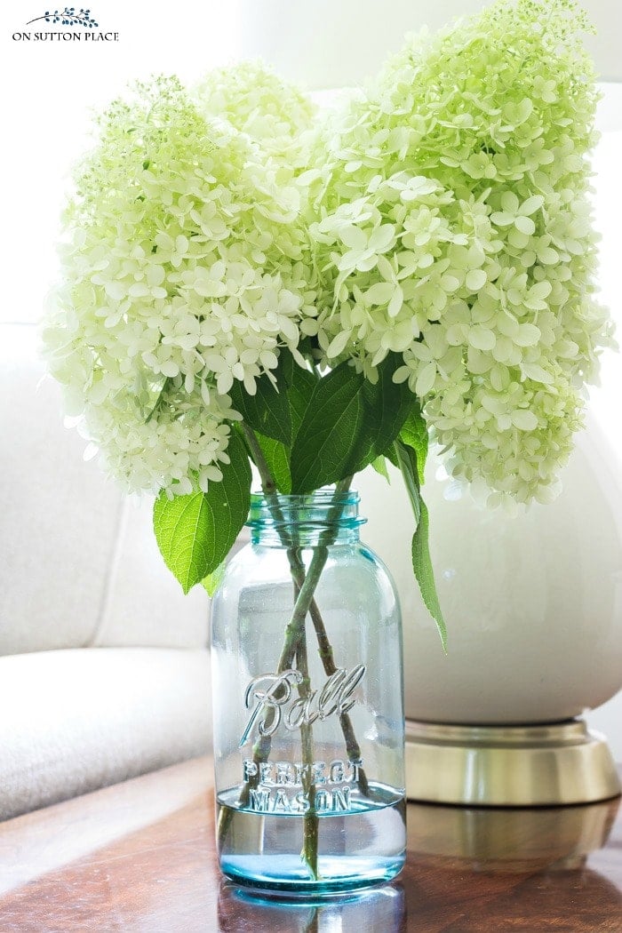 Tips for Arranging Hydrangeas from On Sutton Place