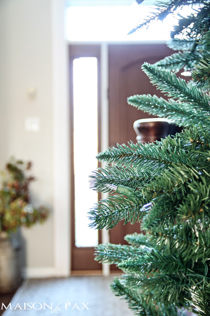 Tips for choosing the perfect tree: affordable and lovely | aiweb9ygdry.cmersite.com