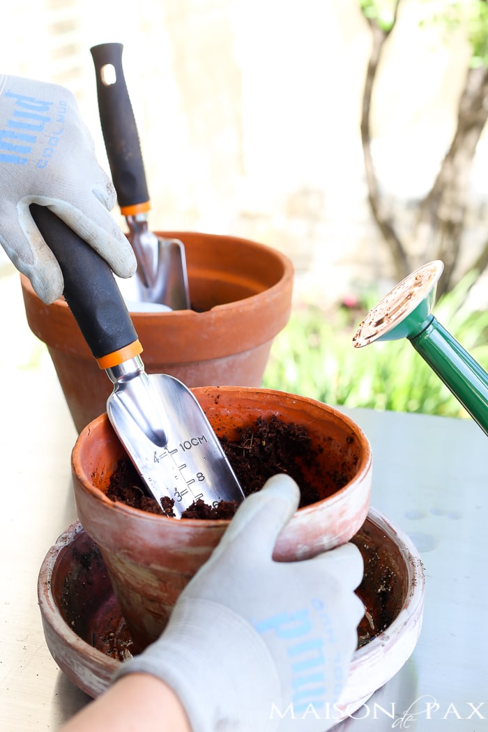 5 Best Gardening Tools (all available on Amazon)