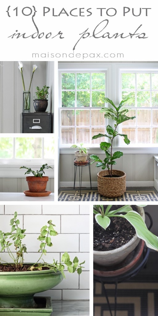 click for 10 ideas of places to put indoor plants! via aiweb9ygdry.cmersite.com