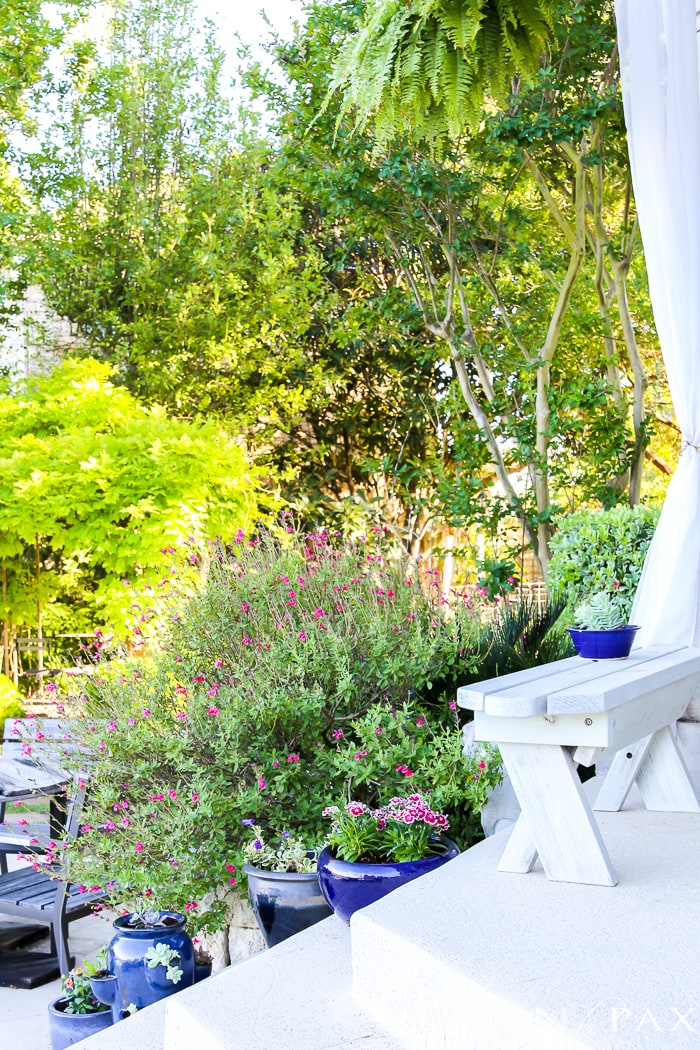 Texas Hill Country painted porch with landscaping filled with annuals and shrubs- Maison de Pax