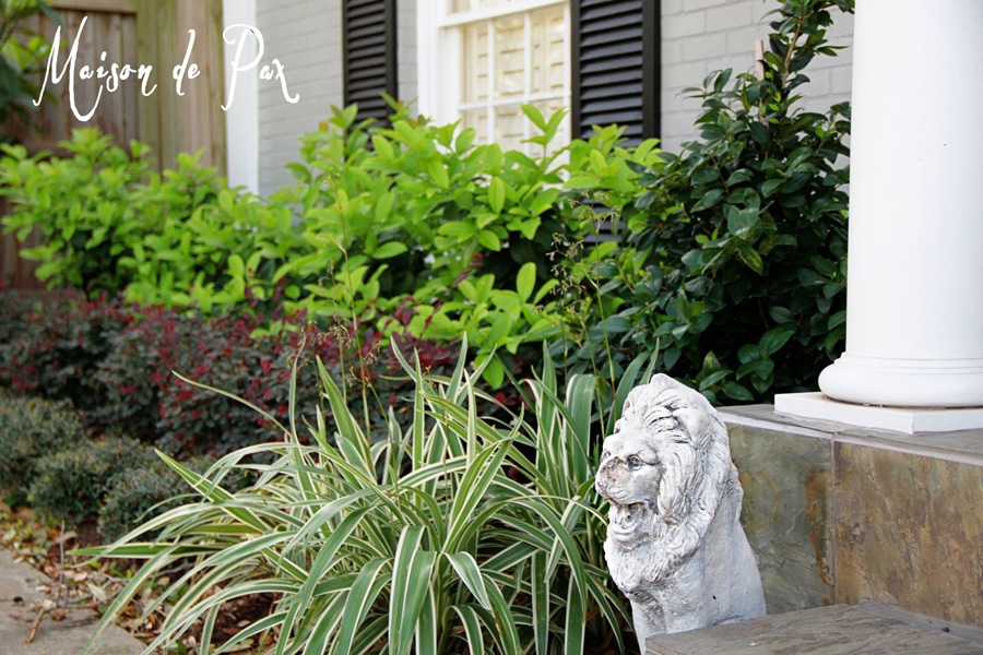 Easy Texas front yard landscaping- Maison de Pax