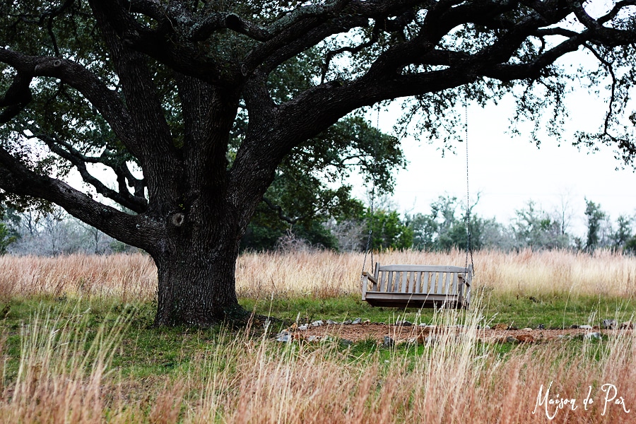 new years resolution: take time to be still