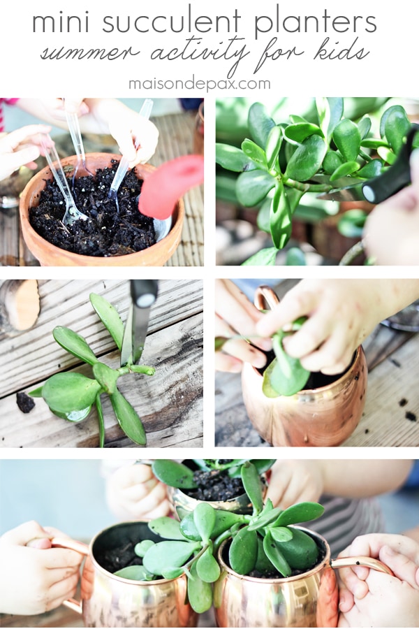 Mini succulent planters- Maison de Pax
