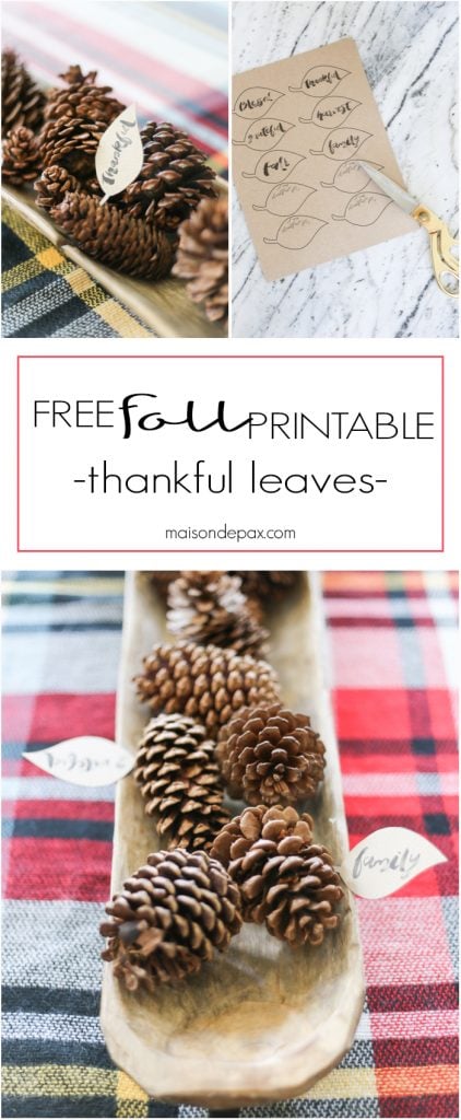 Free Fall Printable: these thankful leaves make an adorable and easy fall and Thanksgiving decoration, perfect for a centerpiece, place cards, or thankful tree! Download the free printable here.