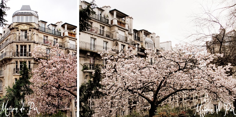 Find gorgeous European photography and other unique home decor at https://www.etsy.com/shop/MaisonDePax