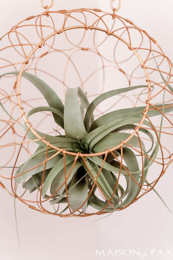 Succulent and copper wire hanging- Maison de Pax