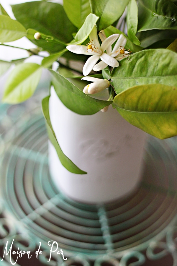 chalk painted mason jars- Maison de Pax