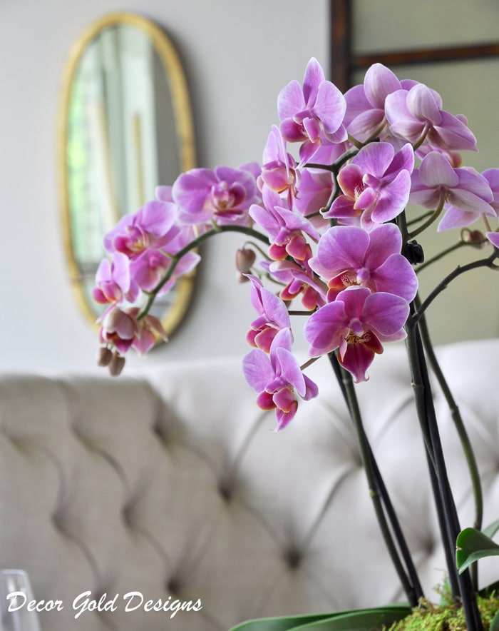 5 Tips for Making Your Home Current and Stylish: It is possible! And you don't have to kill yourself trying to make it happen... Don't miss these tips for a current, stylish home!