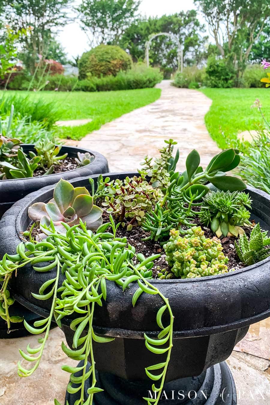 DIY Succulent Planters