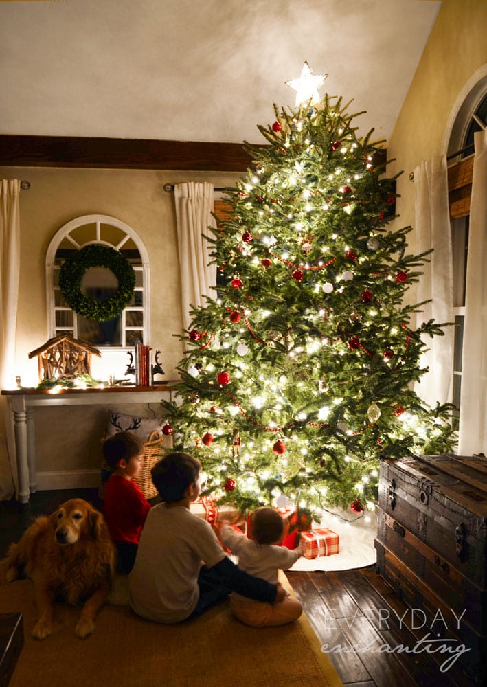 The perfect Christmas scene!