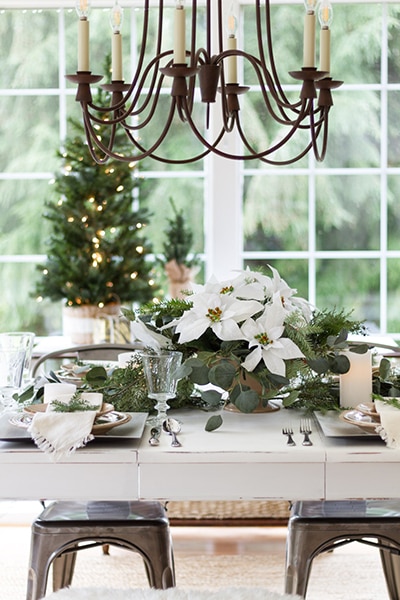 christmas-entertaining-zevy-joy