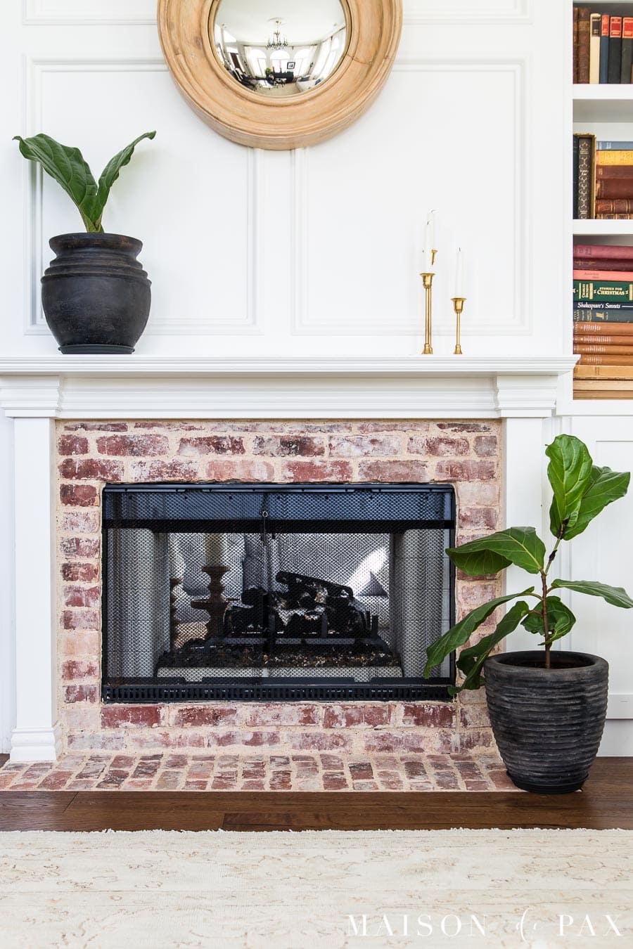 small fiddle leaf fig trees in aged black terra cotta pots | Maison de Pax