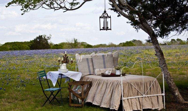 Learn how to create gorgeous, French, farmhouse style with Anita Joyce's wonderful book French Accents. Review on aiweb9ygdry.cmersite.com