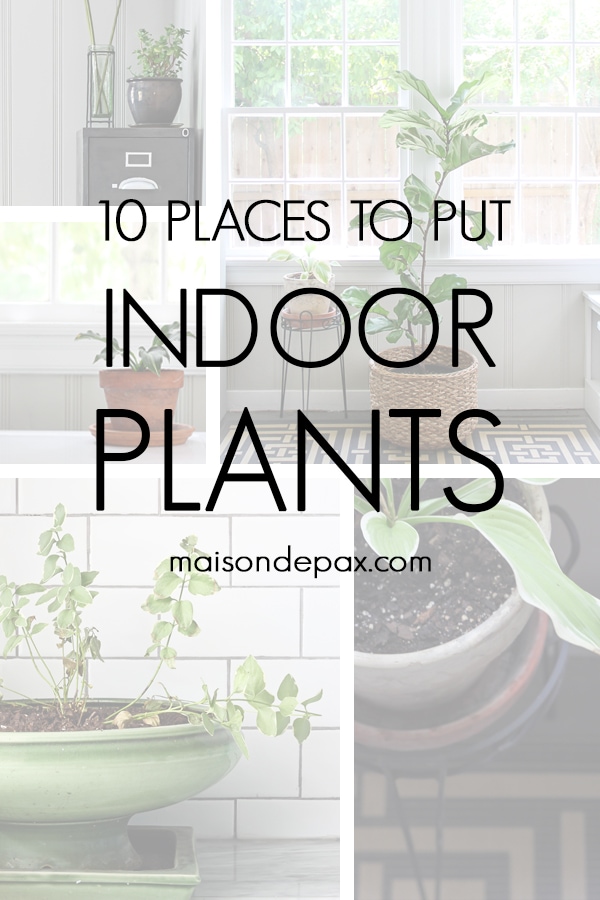 various indoor plants with overlay: 10 places to put indoor plants | Maison de Pax
