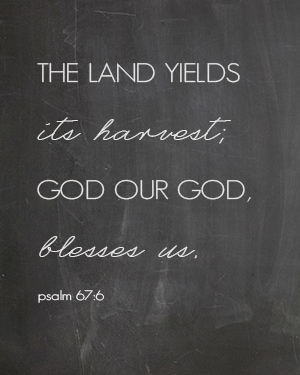 Beautiful FREE autumn Scripture chalkboard printable - perfect for fall | aiweb9ygdry.cmersite.com