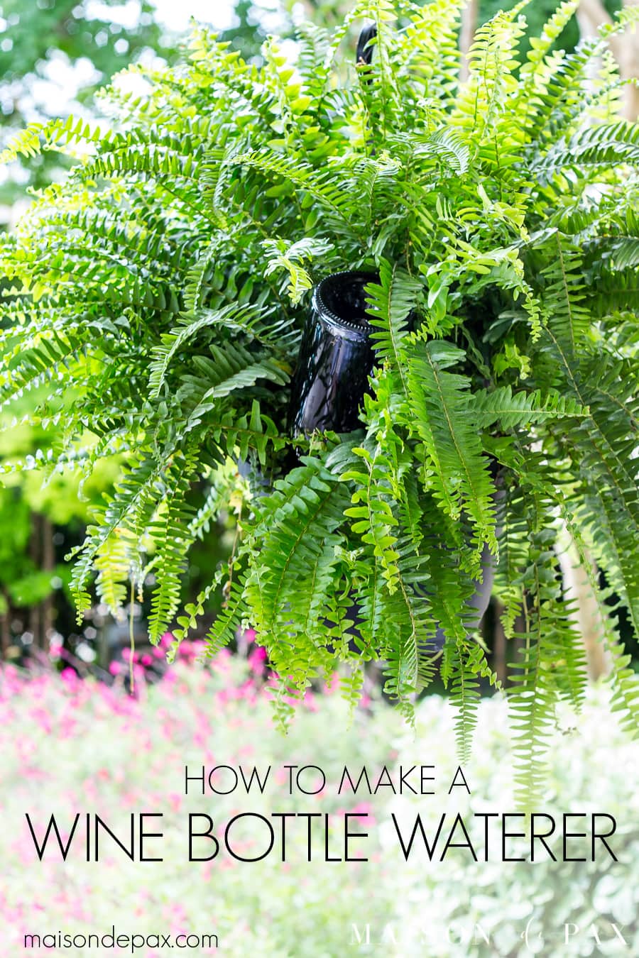 Learn how to make a wine bottle plant waterer to keep your hanging plants healthy and your patio gorgeous this summer! #winebottlewaterer #winebottle #upcycle #garden #gardening #diygardening #hangingplants #bostonfern #summergarden