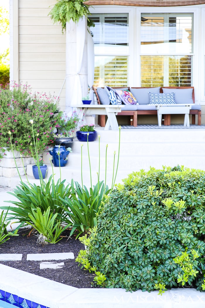 Spring bulbs and landscaping shrubs- Maison de Pax
