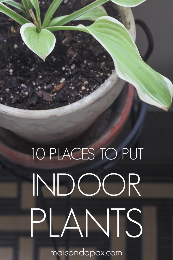 small pot on stand with overlay: 10 places to put indoor plants | Maison de Pax