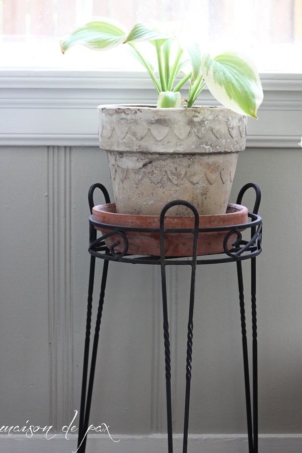 click for 10 ideas of places to put indoor plants! via aiweb9ygdry.cmersite.com