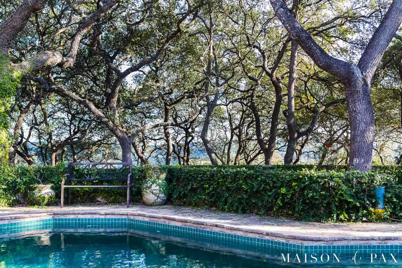 hill country backyard with dark blue pool, stone wall covered with ivy, and views of the hills through the trees