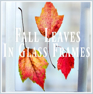 10 MINUTE DECORATING- LEAVES IN FRAMES-pin-stonegableblog-3