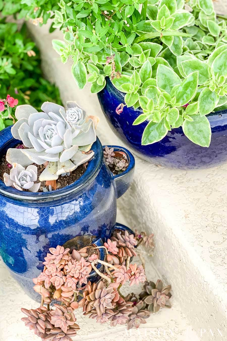 blue glazed strawberry pot with succulent varieties | Maison de Pax