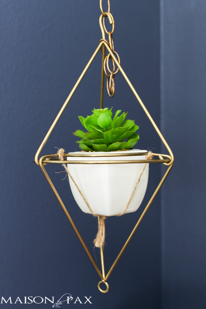 Hanging Plants and Good Books