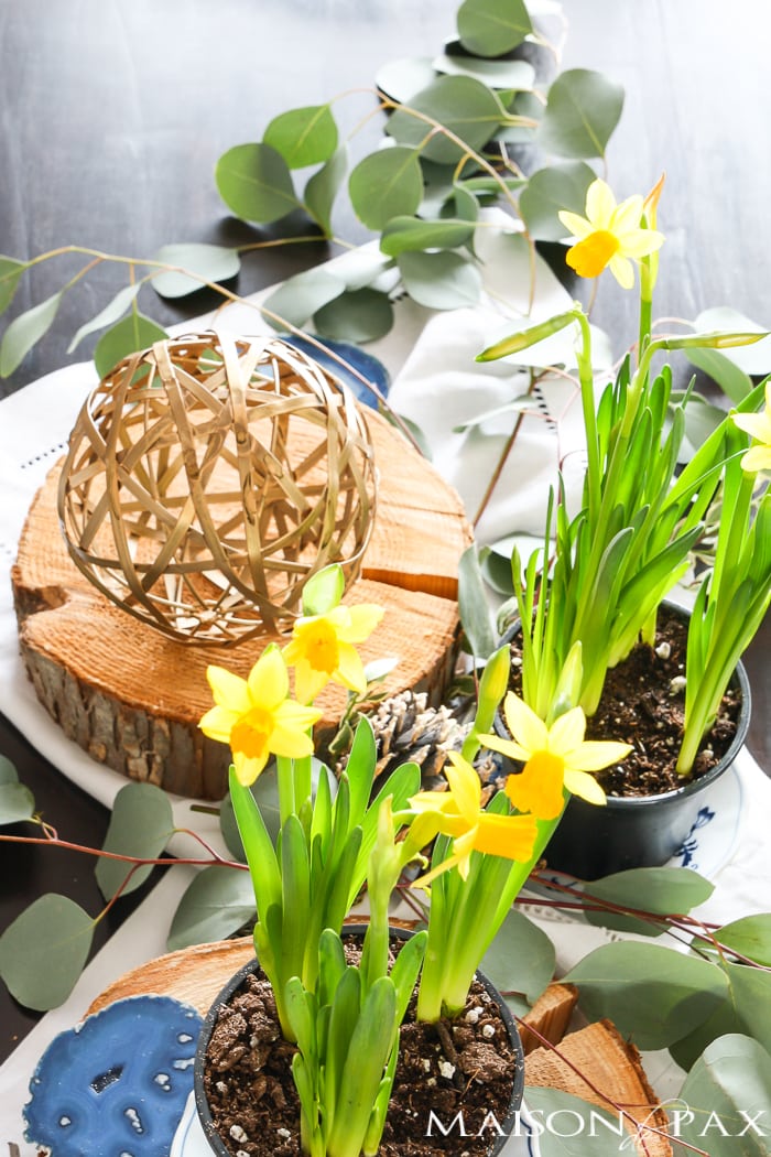 gorgeous, natural spring centerpiece!