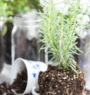 10MD- Ball Jars-stonegableblog.com